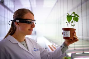 Mitarbeiterin im Labor nutzt Smart Glasses, um eine Pflanze zu untersuchen