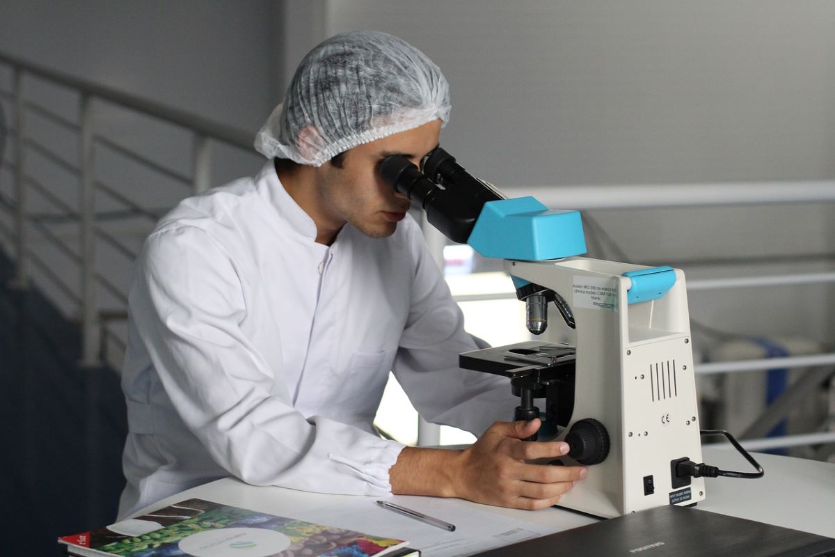 Wissenschaftler mit Haarnetz sitzt am Tisch und schaut in ein Mikroskop.