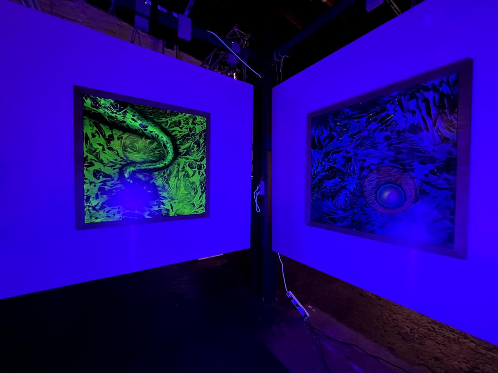 Zwei Kunstwerke werden durch Schwarzlicht angeleuchtet.